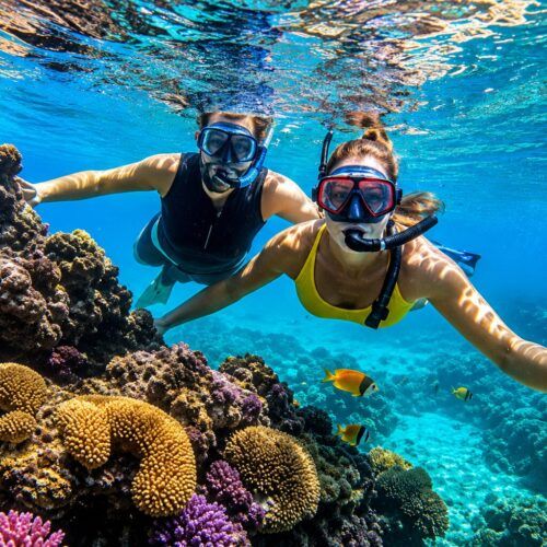 Here are SEO-friendly **Alt Text** options for your **Private Snorkeling Boat Trip in Ain Sokhna** page: 1. Private snorkeling boat trip in Ain Sokhna on the Red Sea 2. Private yacht cruising to snorkeling spots in Ain Sokhna 3. Travelers snorkeling in the crystal-clear waters of Ain Sokhna 4. Colorful coral reefs during a private Red Sea snorkeling tour 5. Tropical fish swimming near coral reefs in Ain Sokhna 6. Luxury private boat charter in Ain Sokhna, Egypt 7. Couple enjoying a private snorkeling cruise on the Red Sea 8. Family snorkeling from a private boat in Ain Sokhna 9. Red Sea marine life during an Ain Sokhna snorkeling adventure 10. Relaxing on the sun deck of a private boat in Ain Sokhna 11. Crystal-clear Red Sea waters perfect for snorkeling in Ain Sokhna 12. Private Red Sea boat excursion with snorkeling equipment 13. Scenic Ain Sokhna coastline viewed from a private yacht 14. Full-day private snorkeling adventure in Ain Sokhna 15. Exclusive Red Sea boat trip with snorkeling near Ain Sokhna These alt texts are optimized with high-value SEO keywords such as **Private Snorkeling Boat Trip in Ain Sokhna**, **Red Sea**, **private yacht**, **coral reefs**, **snorkeling tour**, and **boat charter**, while remaining descriptive and accessible for both users and search engines.