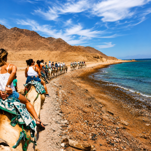 19 Day Egypt Adventure Tour – Nile, Desert & Red Sea