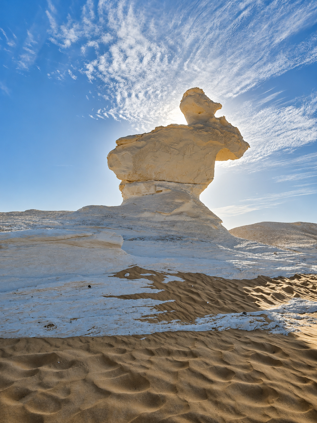 baharia day tours